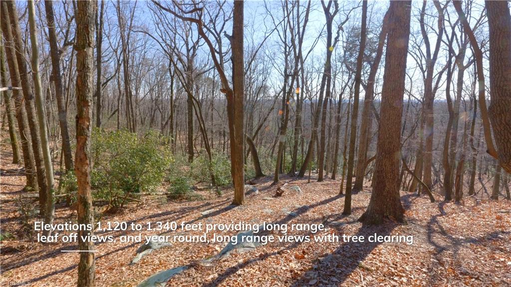0 Wolf Rock Road Walnut Cove, NC 27052 - Photo 24 of 49