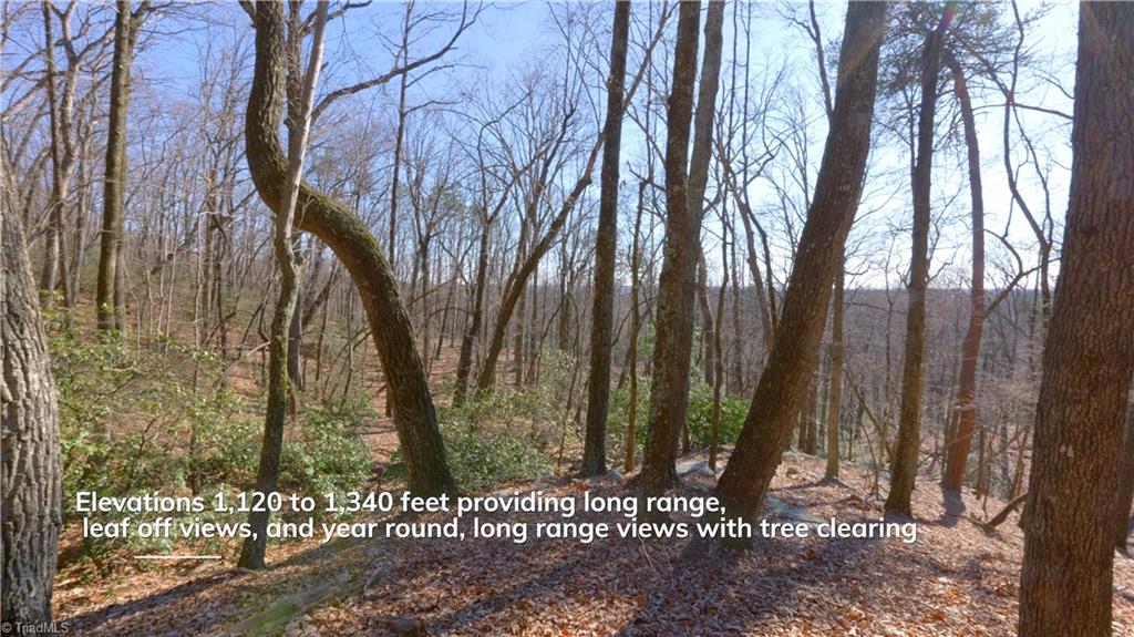 0 Wolf Rock Road Walnut Cove, NC 27052 - Photo 25 of 49