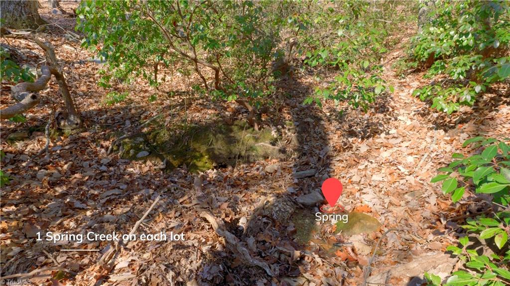 0 Wolf Rock Road Walnut Cove, NC 27052 - Photo 26 of 49