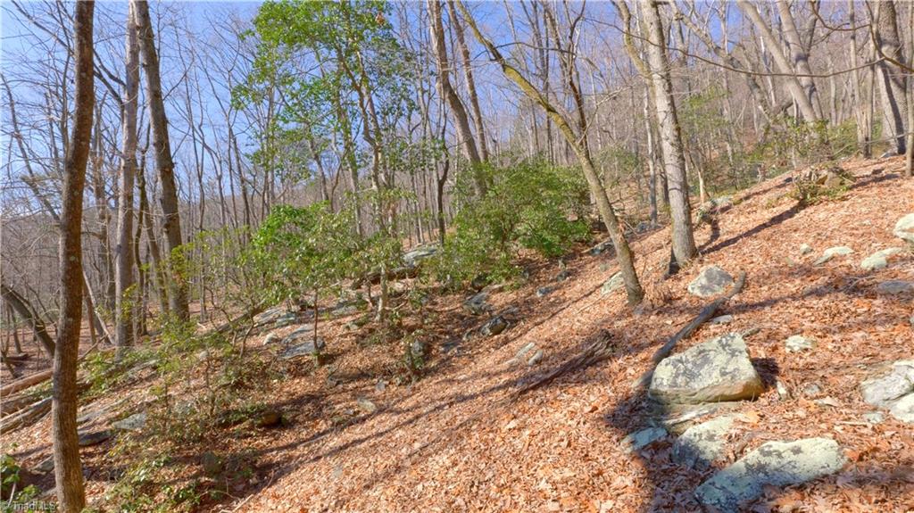 0 Wolf Rock Road Walnut Cove, NC 27052 - Photo 27 of 49