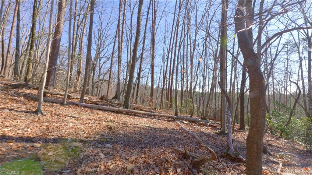 0 Wolf Rock Road Walnut Cove, NC 27052 - Photo 28 of 49