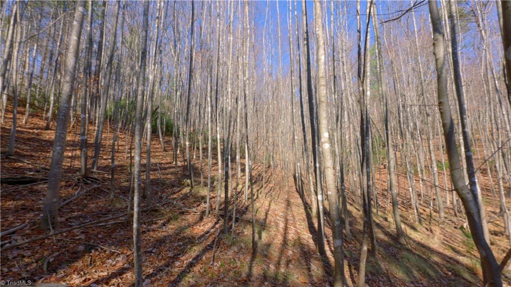 0 Wolf Rock Road Walnut Cove, NC 27052 - Photo 29 of 49