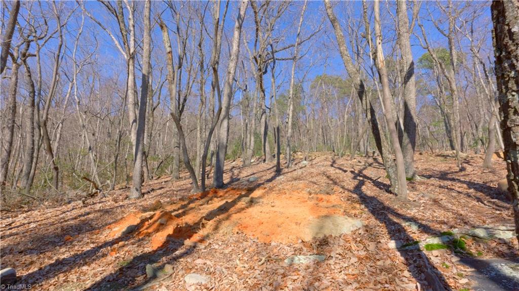 0 Wolf Rock Road Walnut Cove, NC 27052 - Photo 30 of 49