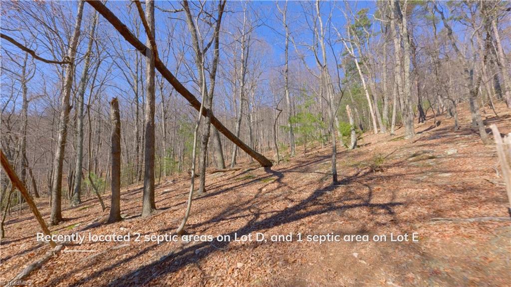 0 Wolf Rock Road Walnut Cove, NC 27052 - Photo 32 of 49