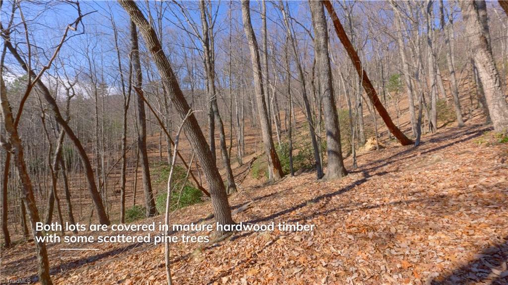 0 Wolf Rock Road Walnut Cove, NC 27052 - Photo 33 of 49