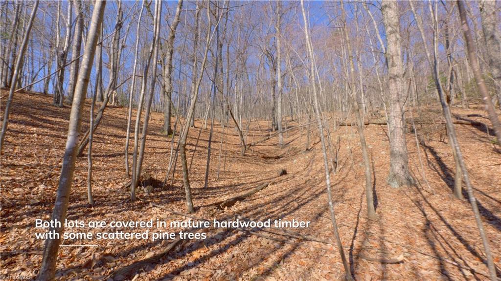 0 Wolf Rock Road Walnut Cove, NC 27052 - Photo 34 of 49