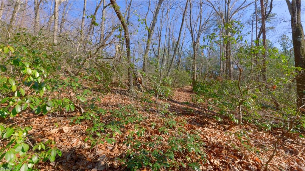 0 Wolf Rock Road Walnut Cove, NC 27052 - Photo 35 of 49