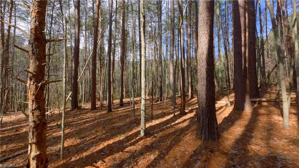 0 Wolf Rock Road Walnut Cove, NC 27052 - Photo 36 of 49