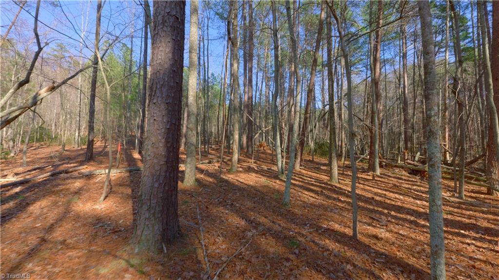 0 Wolf Rock Road Walnut Cove, NC 27052 - Photo 37 of 49