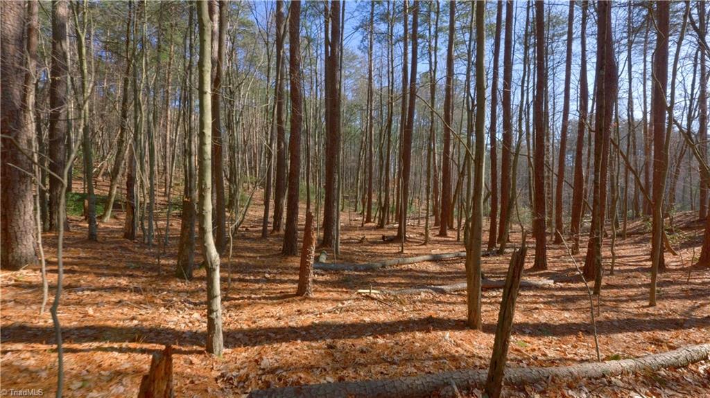 0 Wolf Rock Road Walnut Cove, NC 27052 - Photo 38 of 49