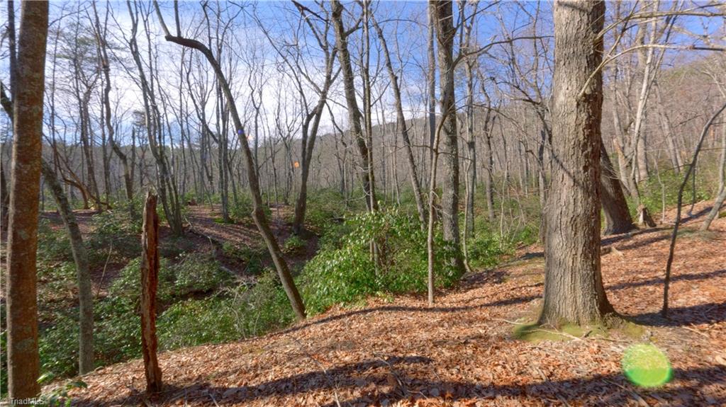 0 Wolf Rock Road Walnut Cove, NC 27052 - Photo 4 of 49