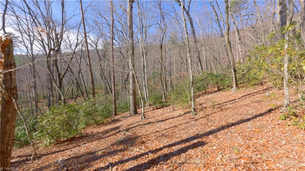 0 Wolf Rock Road Walnut Cove, NC 27052 - Photo 5 of 49