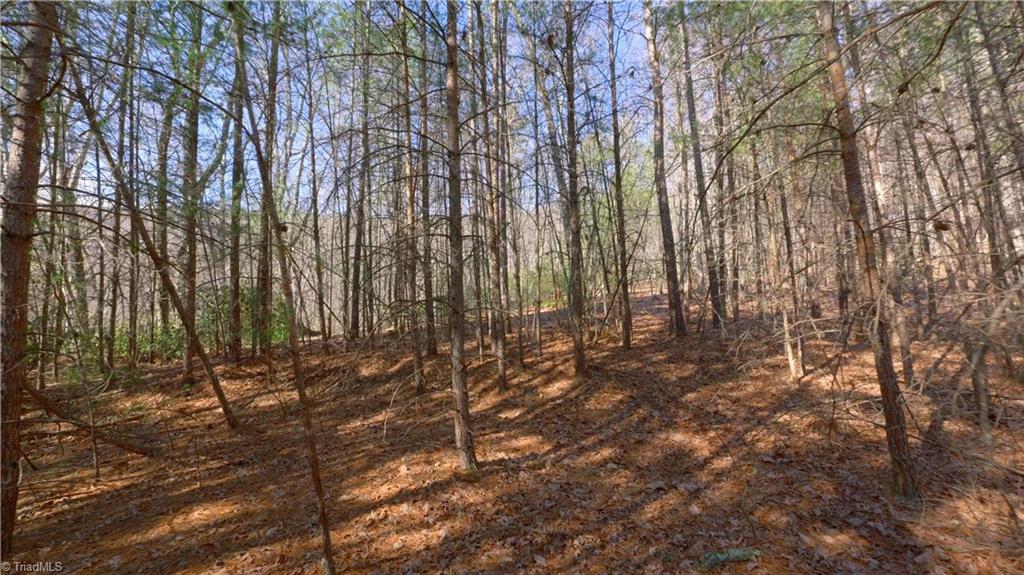 0 Wolf Rock Road Walnut Cove, NC 27052 - Photo 6 of 49