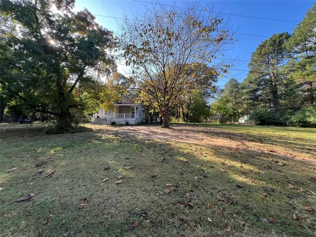 a view of a forest with trees