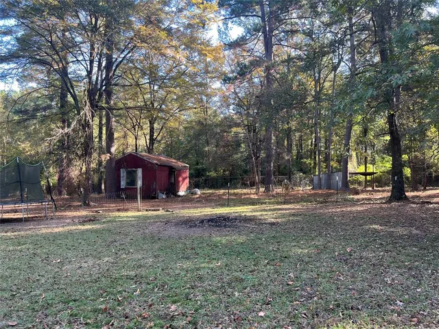 a view of backyard with tree