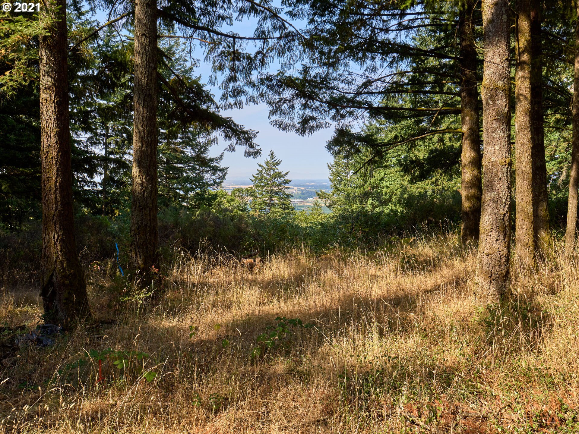 0 Northeast Kramien Road Newberg, OR 97132 - Photo 3 of 11 Gallery Image 3