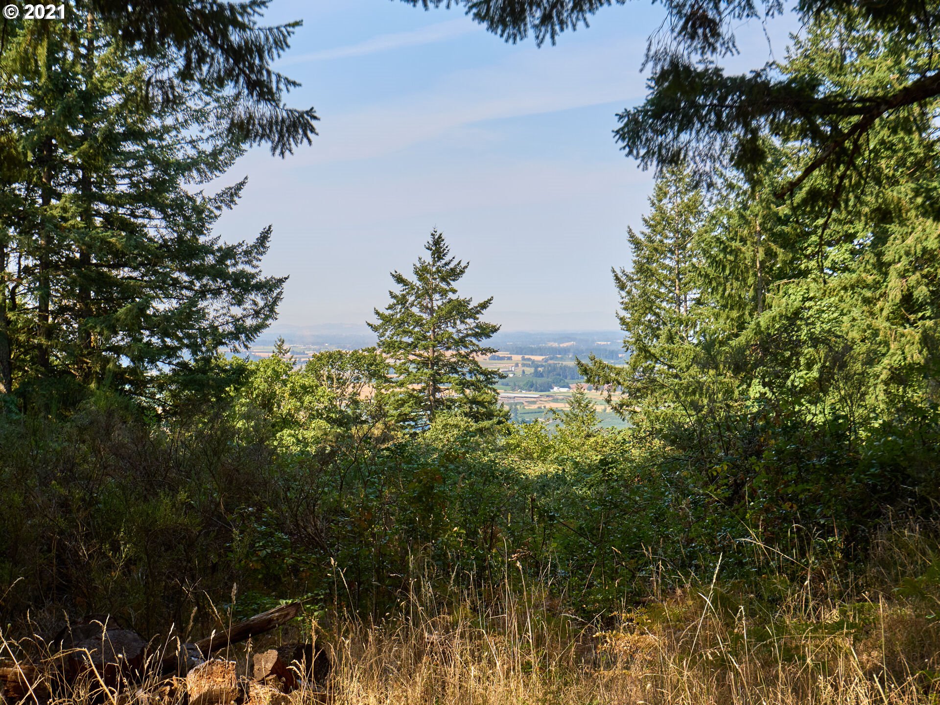 0 Northeast Kramien Road Newberg, OR 97132 - Photo 4 of 11 Gallery Image 4