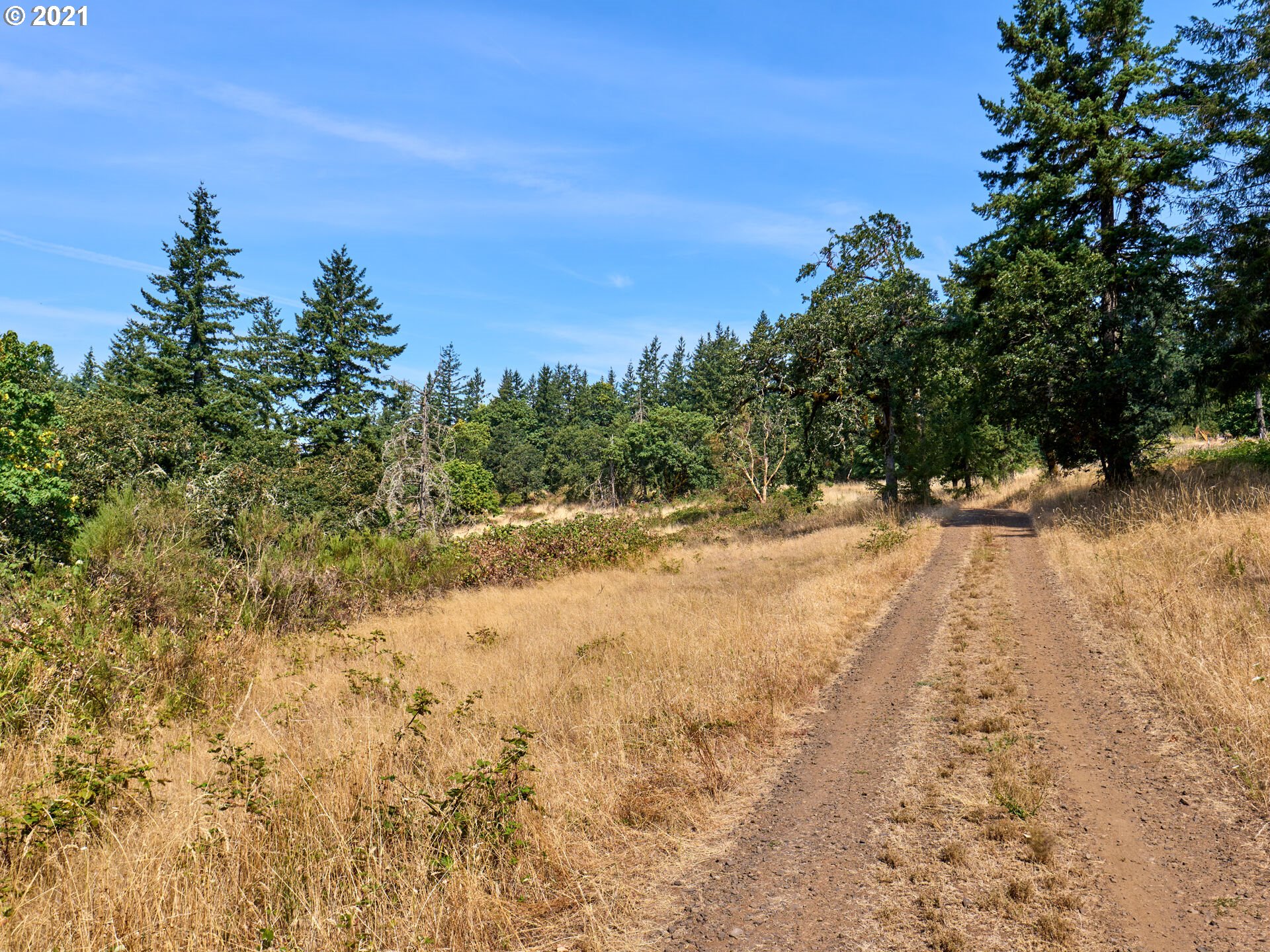 0 Northeast Kramien Road Newberg, OR 97132 - Photo 5 of 11 Gallery Image 5
