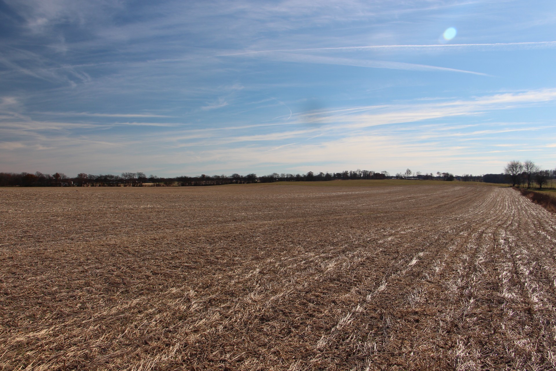 D Borthick Road Springfield, TN 37172 - Photo 1 of 5