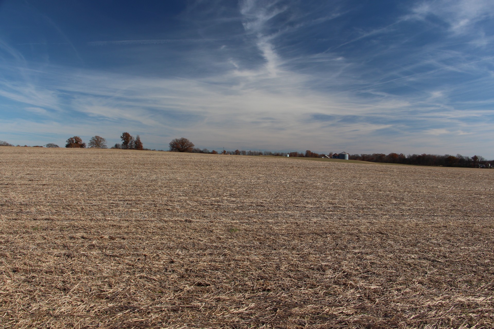 D Borthick Road Springfield, TN 37172 - Photo 3 of 5 a view of ocean