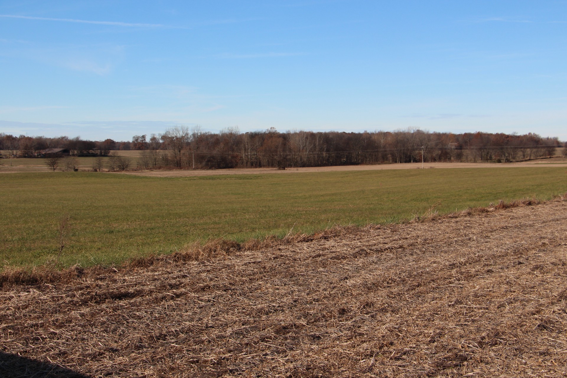 D Borthick Road Springfield, TN 37172 - Photo 5 of 5 a view of an ocean and beach