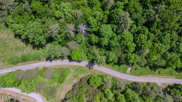 379 Maple Springs Road Reliance, TN 37369 - Photo 1 of 13 Image 5-13-26 at 5.21 PM