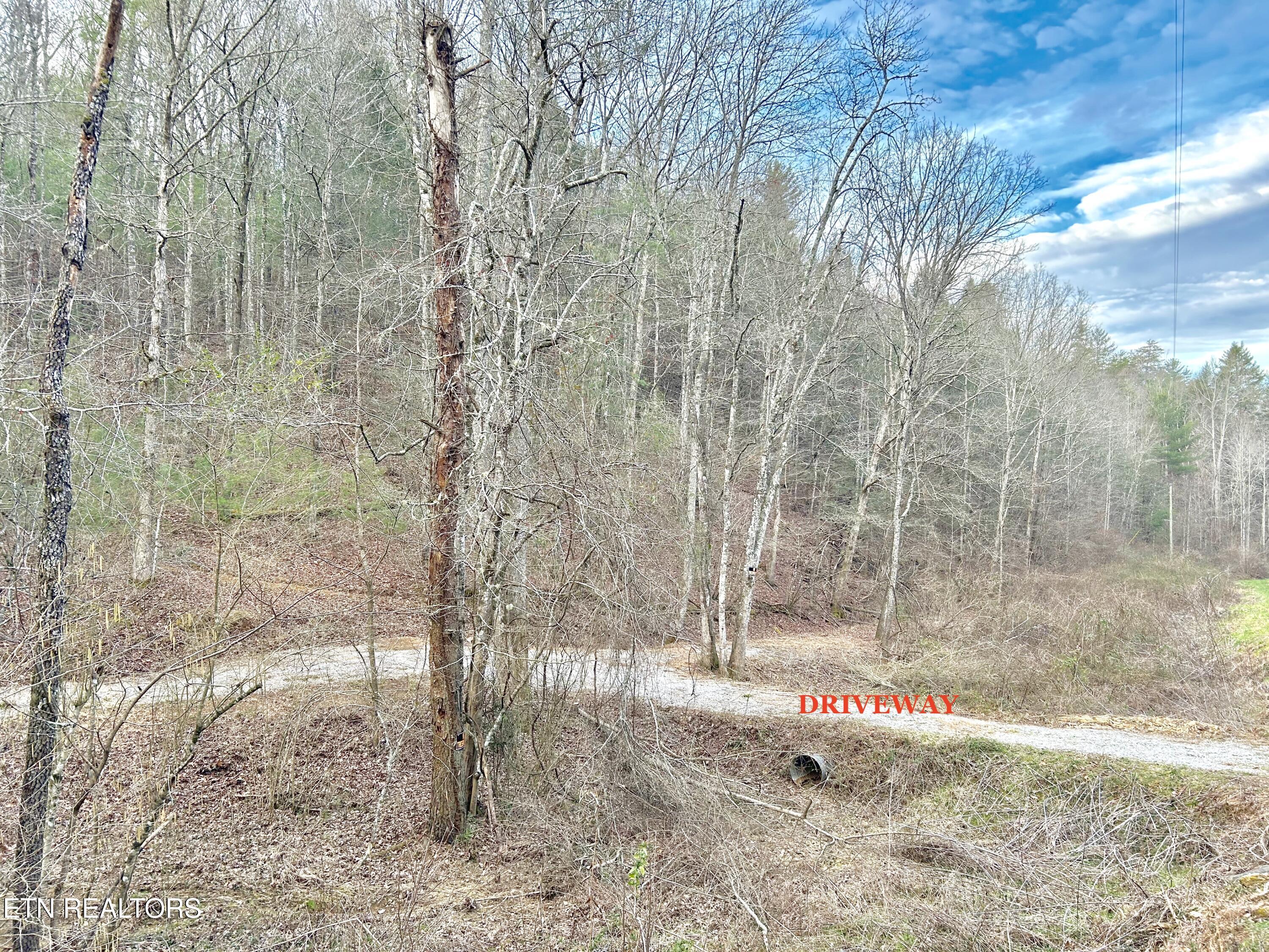 379 Maple Springs Road Reliance, TN 37369 - Photo 11 of 13 fullsizeoutput_1b3d