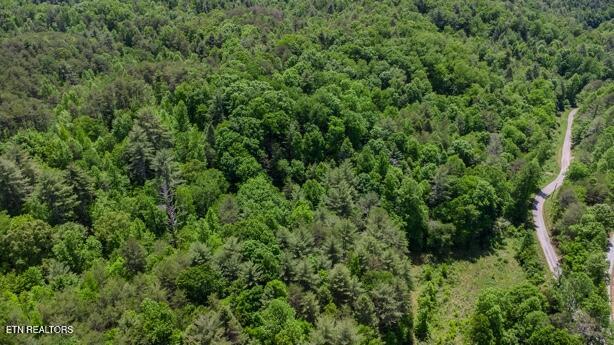 379 Maple Springs Road Reliance, TN 37369 - Photo 2 of 13 Image 5-13-26 at 5.22 PM