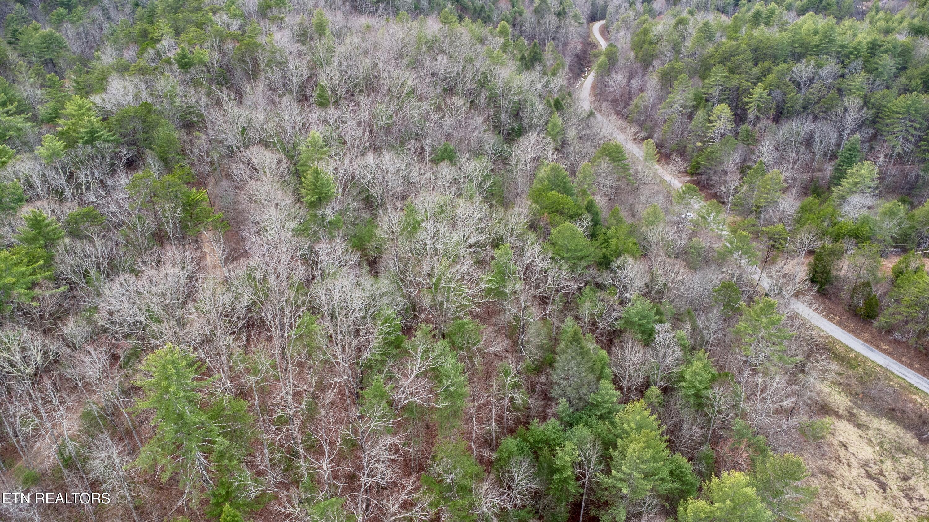 379 Maple Springs Road Reliance, TN 37369 - Photo 3 of 13 fullsizeoutput_1ba6