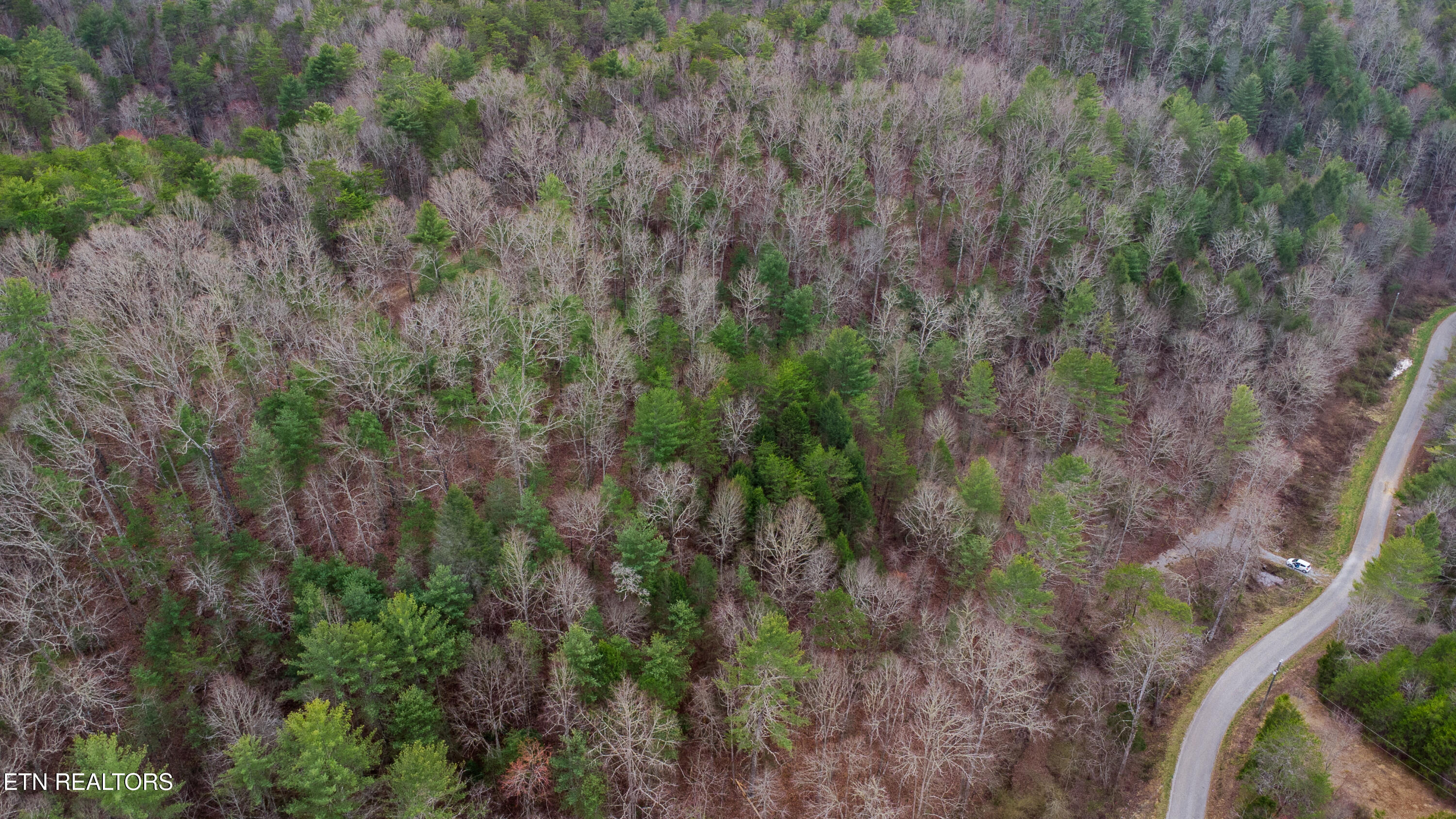 379 Maple Springs Road Reliance, TN 37369 - Photo 4 of 13 DJI Aerial High Quality-2