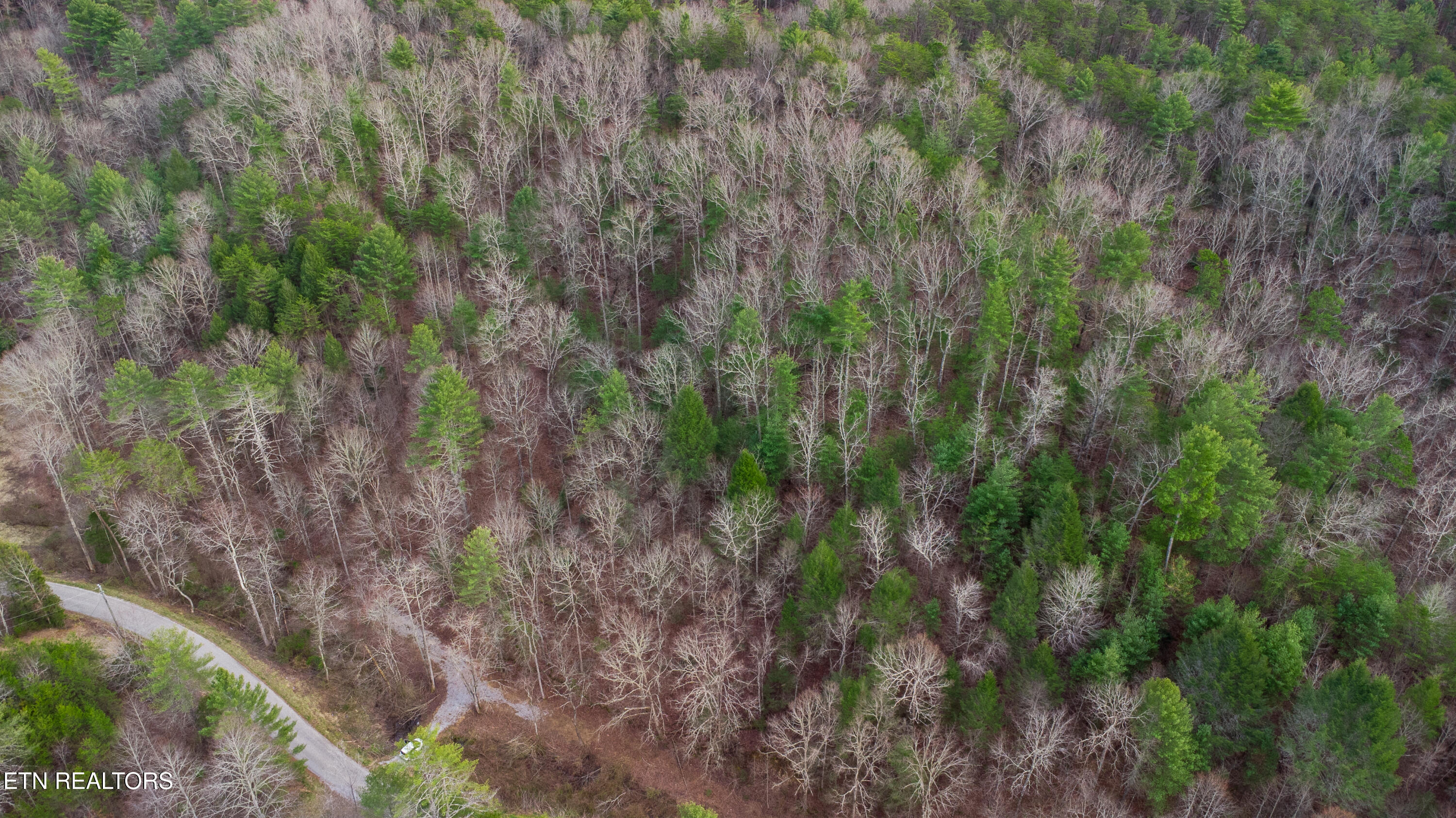 379 Maple Springs Road Reliance, TN 37369 - Photo 5 of 13 DJI Aerial High Quality-3