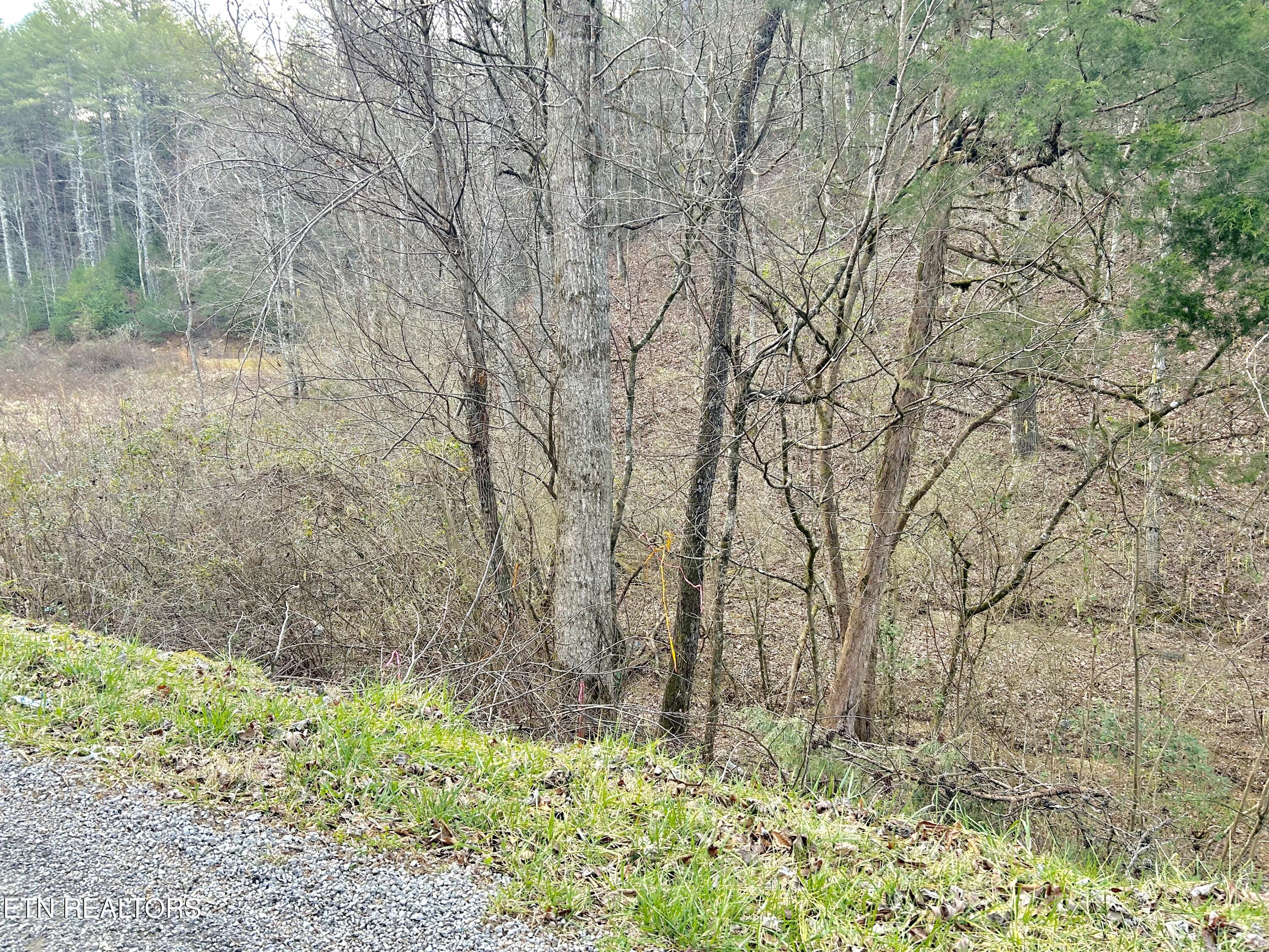 379 Maple Springs Road Reliance, TN 37369 - Photo 8 of 13 fullsizeoutput_1b3f