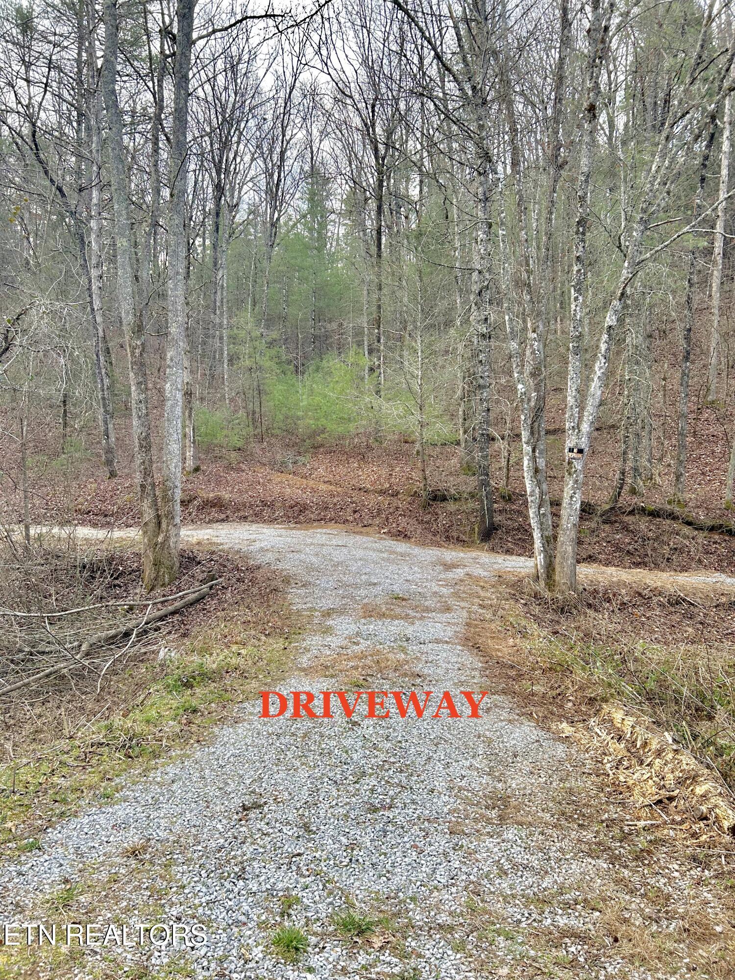 379 Maple Springs Road Reliance, TN 37369 - Photo 9 of 13 fullsizeoutput_1b39