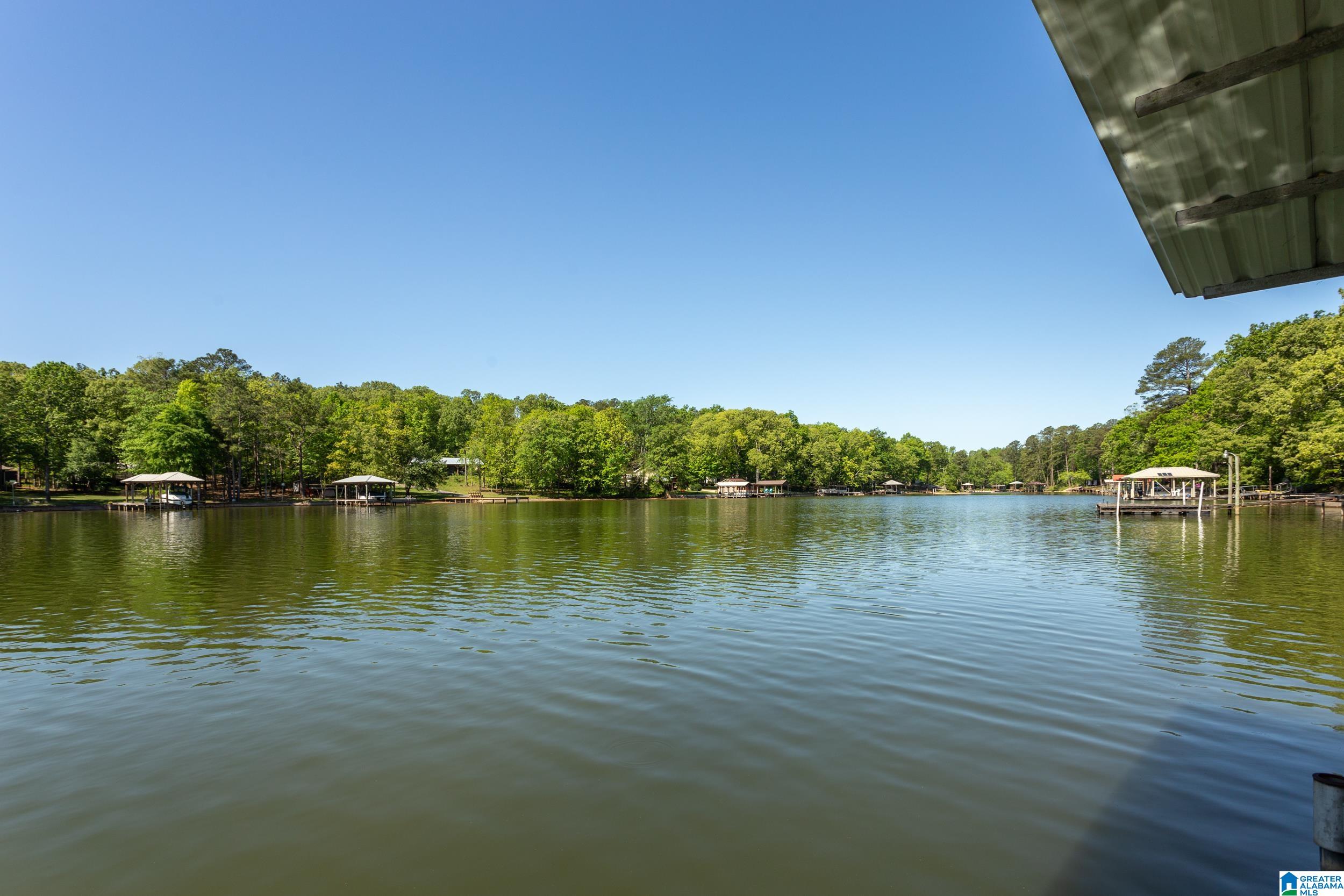 524 Coosa Island Road Cropwell, AL 35054 - Photo 39 of 39