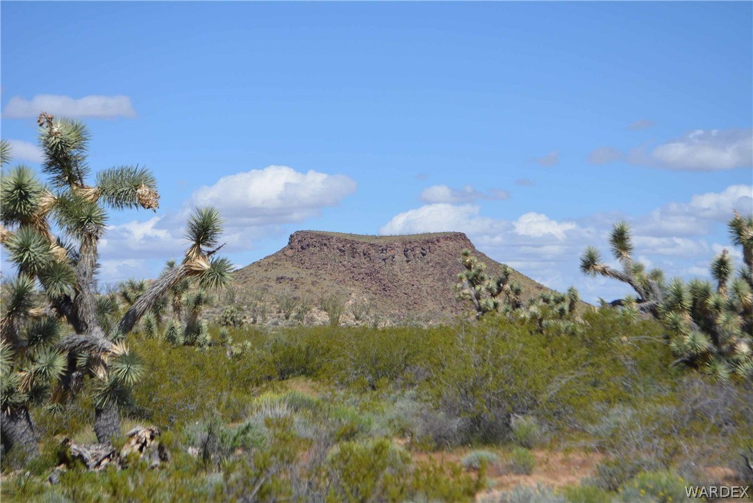 3529 East Arroyo Road Yucca, AZ 86438 - Photo 1 of 34