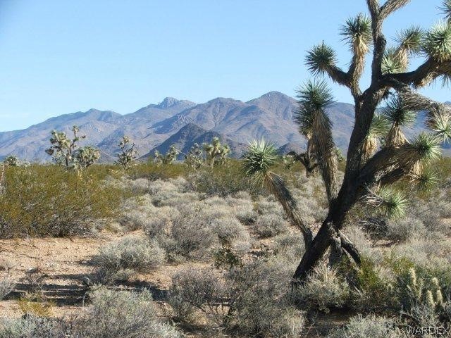 3529 East Arroyo Road Yucca, AZ 86438 - Photo 11 of 34