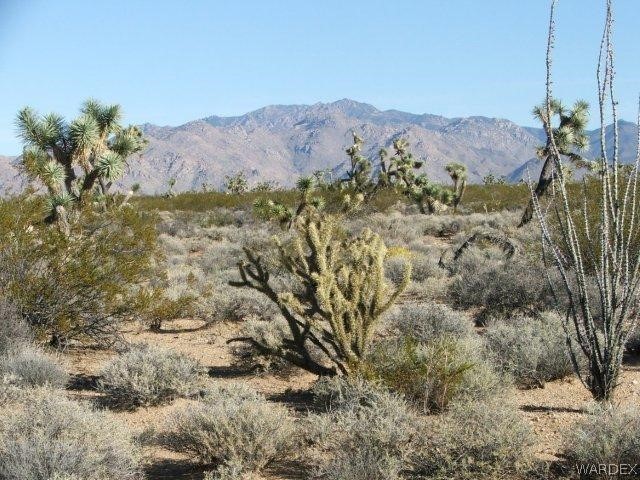 3529 East Arroyo Road Yucca, AZ 86438 - Photo 12 of 34