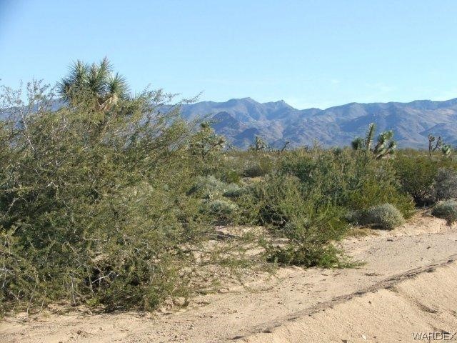 3529 East Arroyo Road Yucca, AZ 86438 - Photo 15 of 34