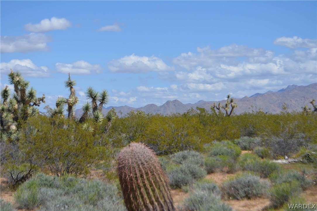 3529 East Arroyo Road Yucca, AZ 86438 - Photo 17 of 34
