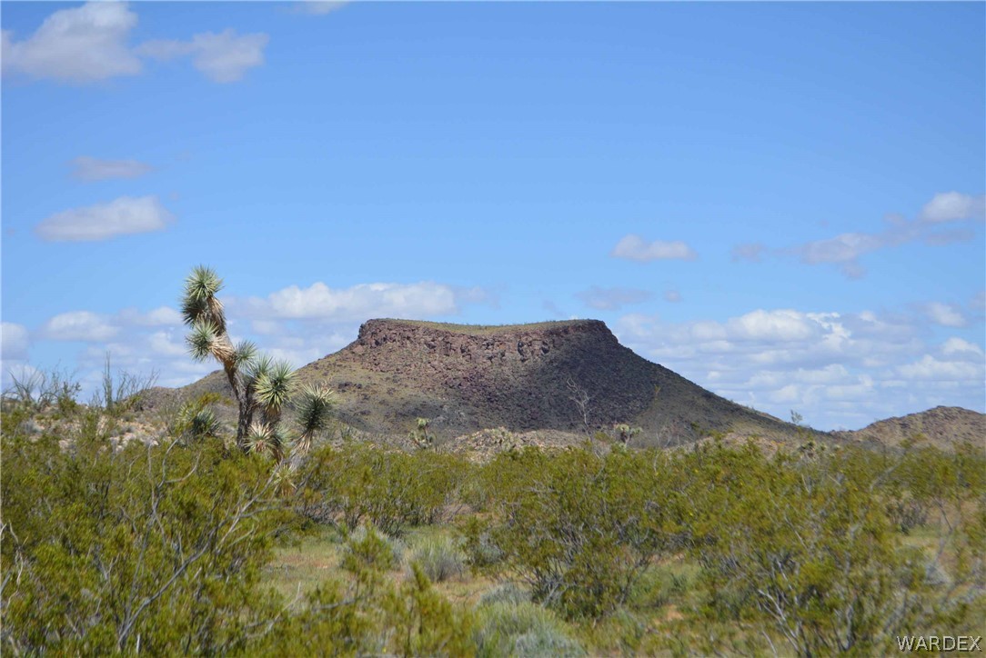 3529 East Arroyo Road Yucca, AZ 86438 - Photo 18 of 34