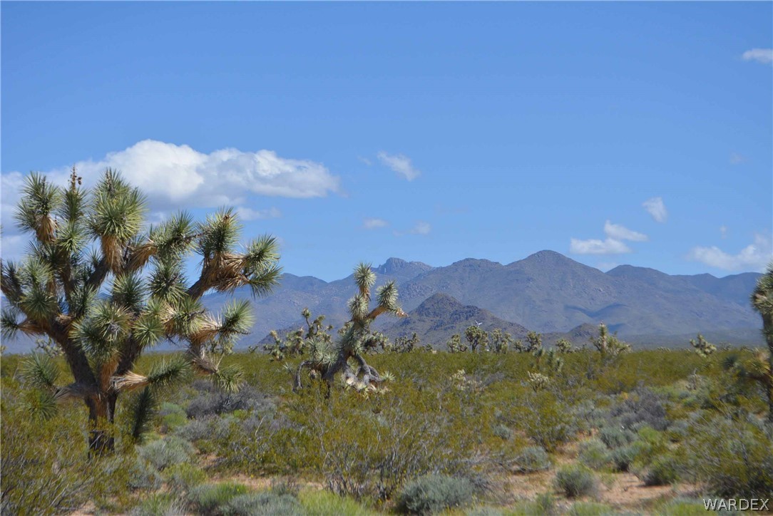 3529 East Arroyo Road Yucca, AZ 86438 - Photo 19 of 34