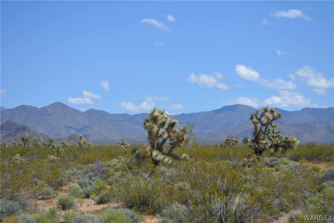 3529 East Arroyo Road Yucca, AZ 86438 - Photo 20 of 34