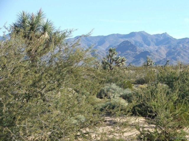 3529 East Arroyo Road Yucca, AZ 86438 - Photo 2 of 34
