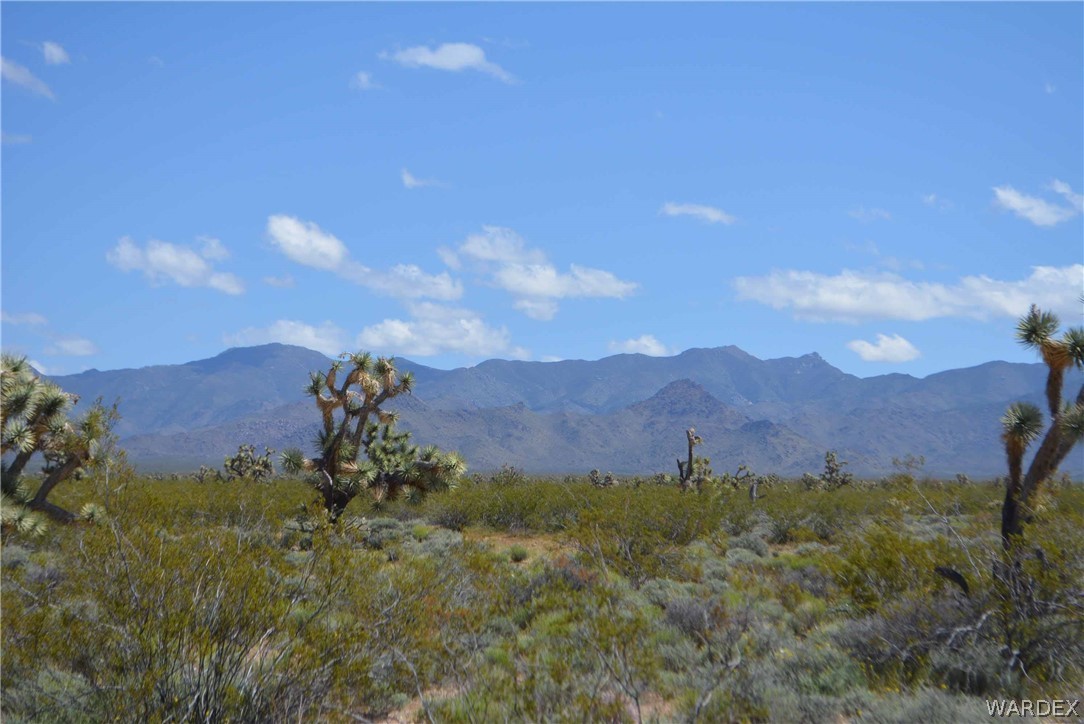 3529 East Arroyo Road Yucca, AZ 86438 - Photo 21 of 34