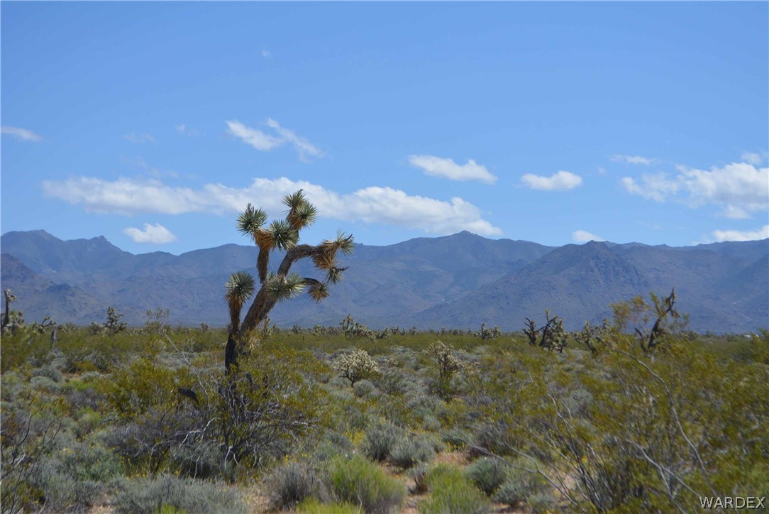 3529 East Arroyo Road Yucca, AZ 86438 - Photo 22 of 34