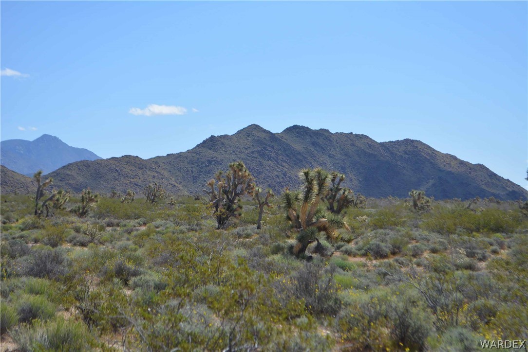 3529 East Arroyo Road Yucca, AZ 86438 - Photo 23 of 34