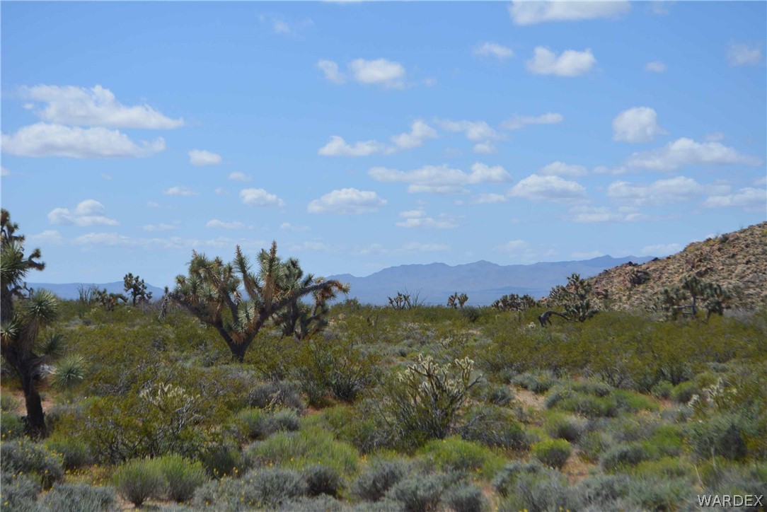 3529 East Arroyo Road Yucca, AZ 86438 - Photo 24 of 34