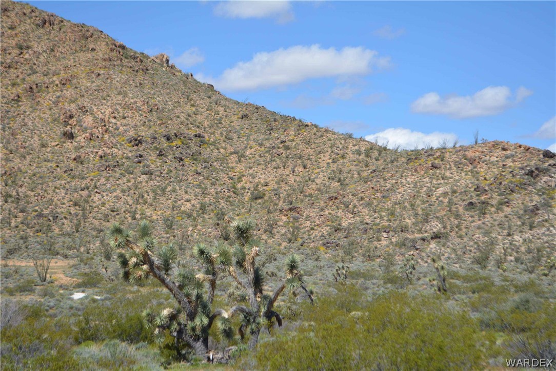 3529 East Arroyo Road Yucca, AZ 86438 - Photo 25 of 34