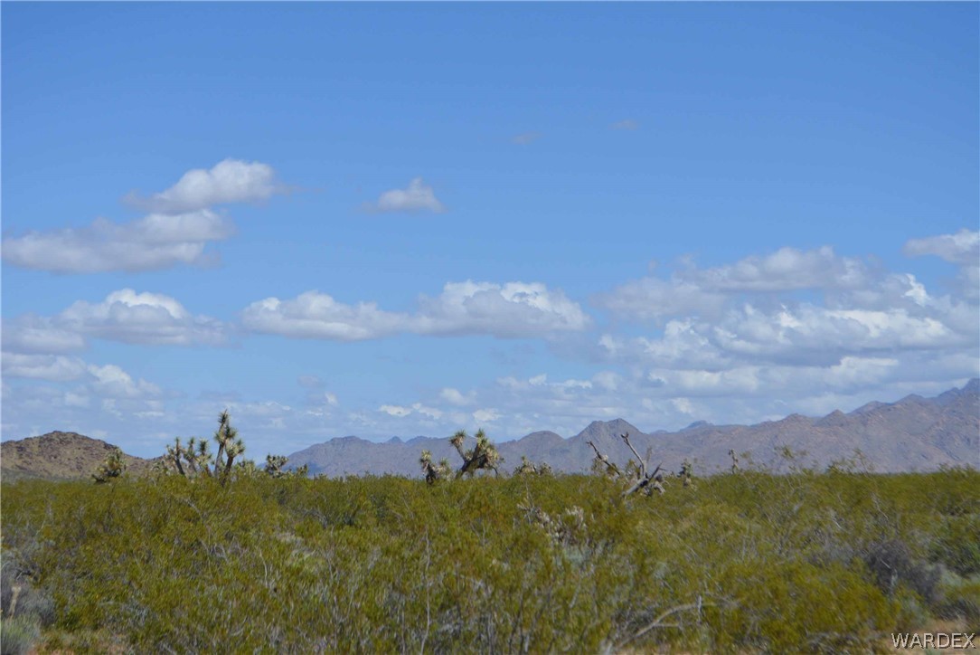 3529 East Arroyo Road Yucca, AZ 86438 - Photo 29 of 34