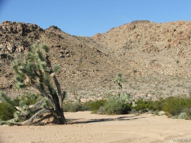 3529 East Arroyo Road Yucca, AZ 86438 - Photo 3 of 34
